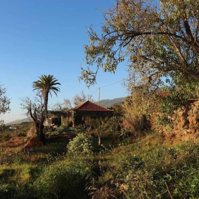 Вілла Casita En El Campo Con Vista Al Oceano Тіхарафе Екстер'єр фото