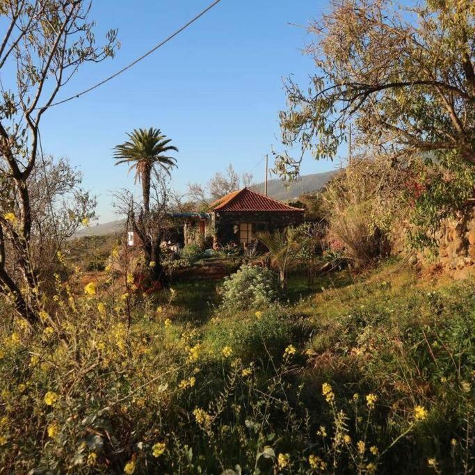 Вілла Casita En El Campo Con Vista Al Oceano Тіхарафе Екстер'єр фото