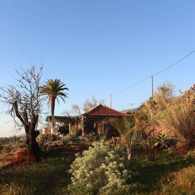 Вілла Casita En El Campo Con Vista Al Oceano Тіхарафе Екстер'єр фото